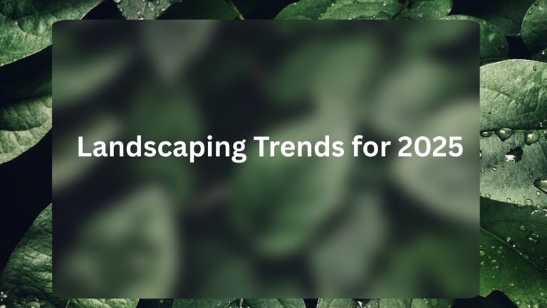 Landscaping-Trends-for-2025